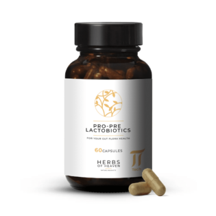 Lactobiotics Pre-, Pro Biotikum kapszula 60 db